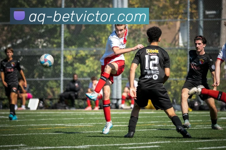 betvictor伟德官网平台生态图