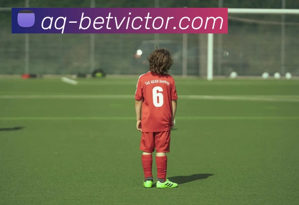 betvictor伟德官网APP 封面图